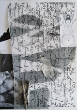 The Swan Collage G.Ramos-Poqui 2014