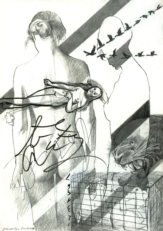 The Cage G Ramos-Poqui 2016